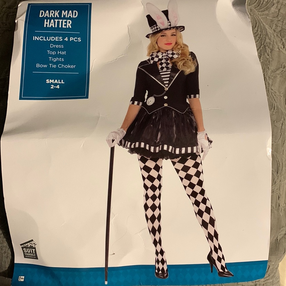 HALLOWEEN COSTUME! Alice in Wonderland Mad Hatter costume